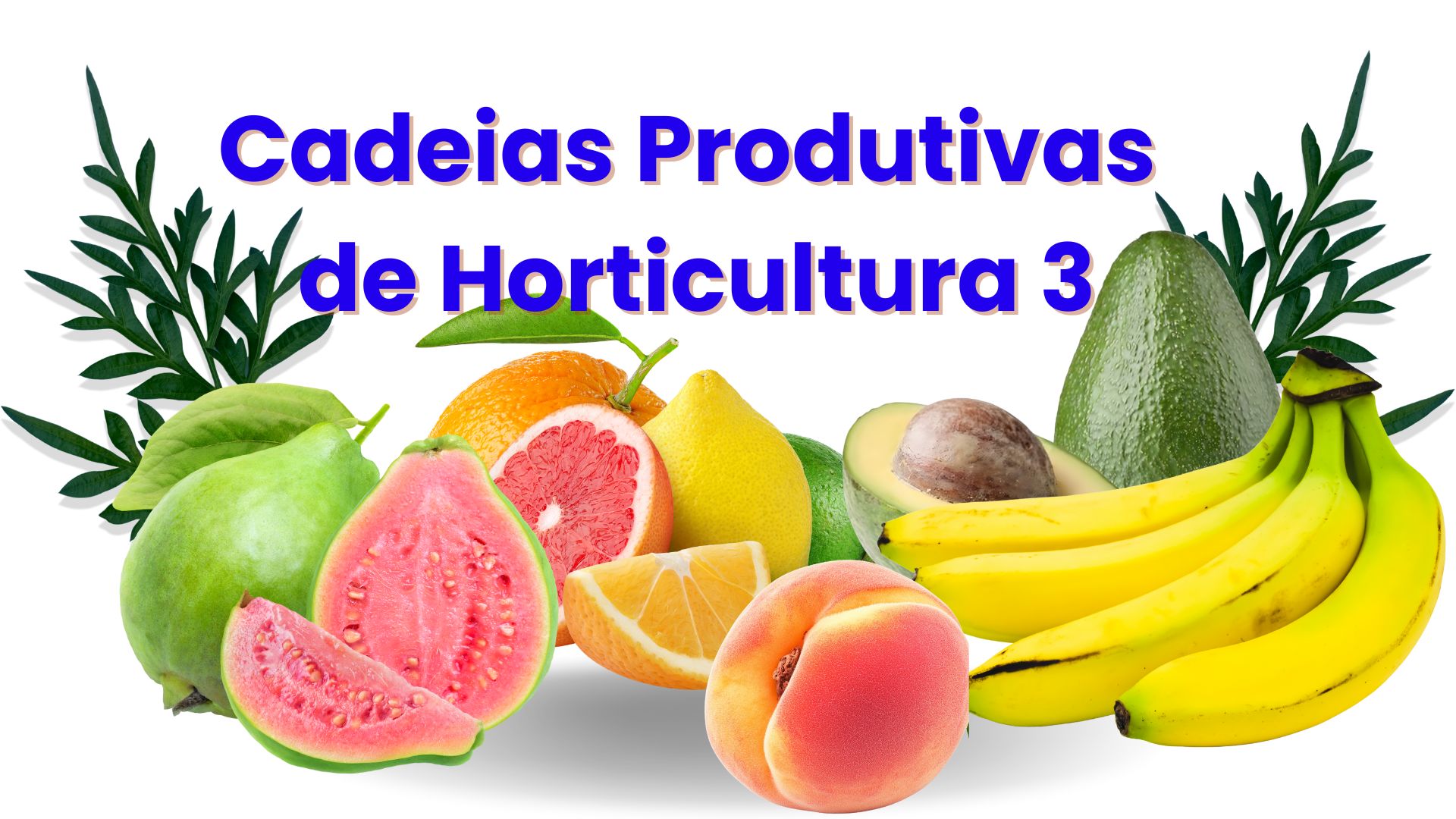 CPH3 CADEIAS PRODUTIVAS DE HORTICULTURA III