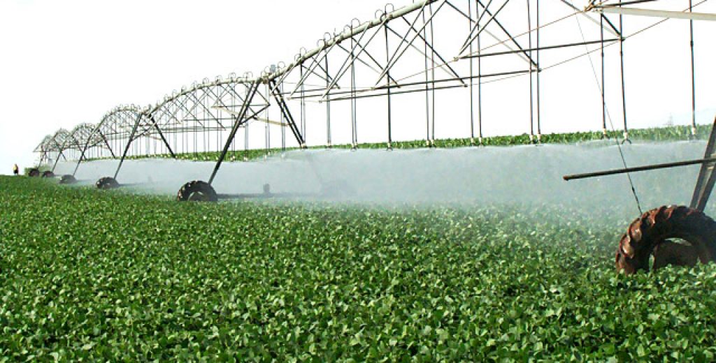 TÉCNICAS DE IRRIGAÇÃO E DRENAGEM