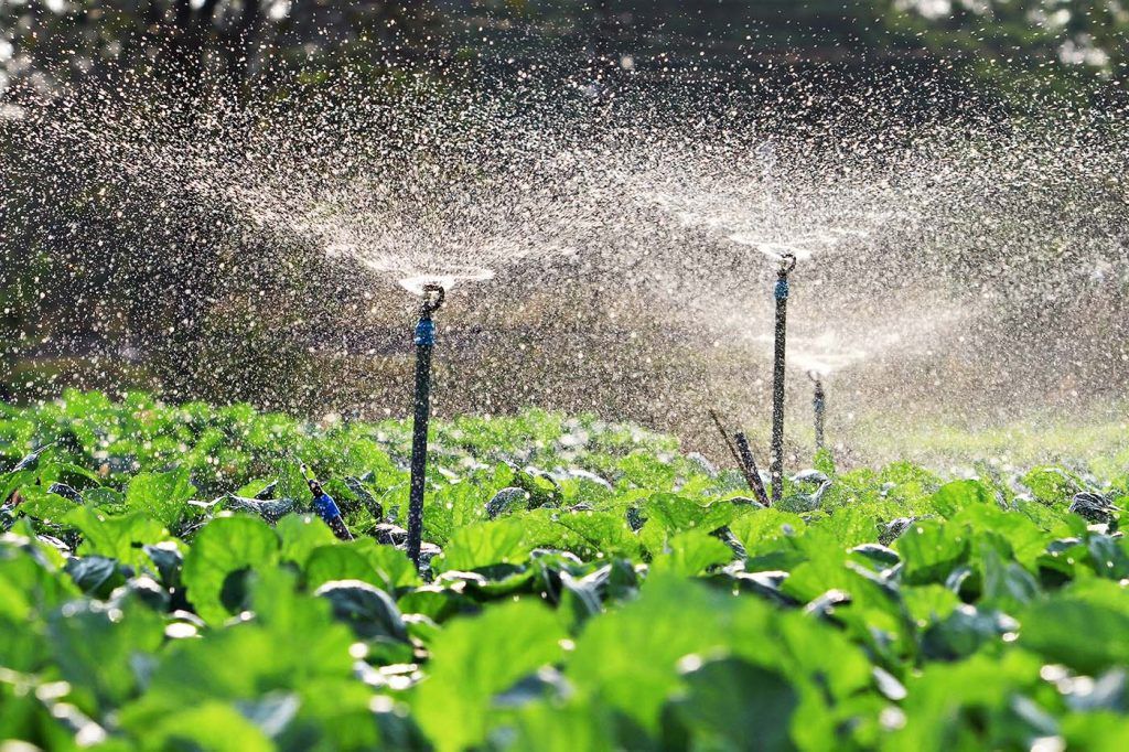  TÉCNICAS DE IRRIGAÇÃO E DRENAGEM